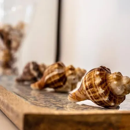 Apartamento San Fermín 232 - By Az Puerto del Carmen (Lanzarote)